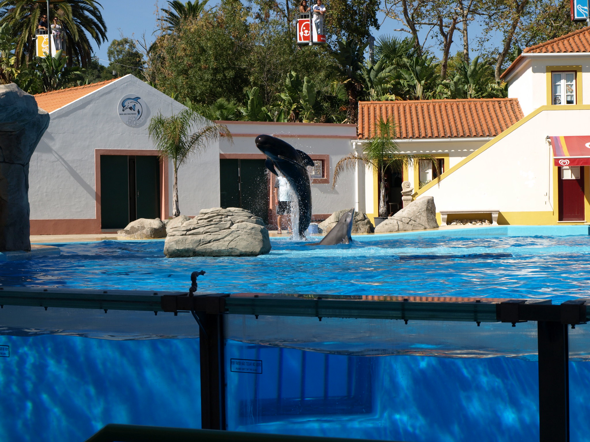 Lisbon Zoo